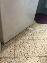 Conveniente diseño de ratón Tope de puerta tope guardia bebé Protector de seguridad