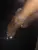 Chaussure Talon cristal  Image of U0b25a6685f46471288607c723ad2c232x.jpg 50x50