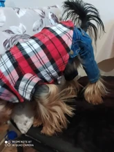 Ropa de verano para perros pequeños, Camiseta de algodón para gatos y perros, chaleco para cachorros, camisas para Chihuahua y Yorkshire, productos para mascotas