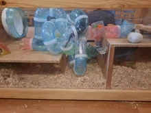 Hamster-Accessories Pet-Toys Tunnel-Fittings Acrylic Cage Transparent Cheap Small 1pcs