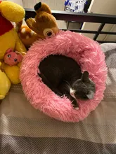 Perro cama Super lavables suaves larga mascota de peluche perrera profundo perro para dormir casa esterillas de terciopelo sofá para cesta de perro Gato cama envío de la gota