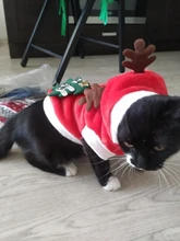 Christmas Dog Clothes Small Dogs Santa Costume for Pug Chihuahua Yorkshire Pet Cat Clothing