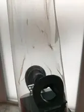 Bucket Pet-Bird-Feeder Outdoor Garden-Decoration Hanging-Type Plastic