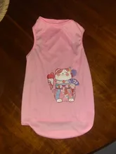 Ropa de verano para mascotas, Camiseta con estampado de flamenco para perro, chaleco para perros pequeños y medianos, accesorios para mascotas, chaleco para gatos, camisas, XS-2XL