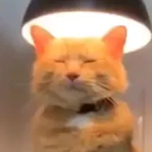 l***m