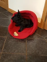 Bed Sleeping-Bag Puppy-Cave-Bed Small Dog Soft-Fleece Warm Cat 4 Winter Pet-Dog Different-Size