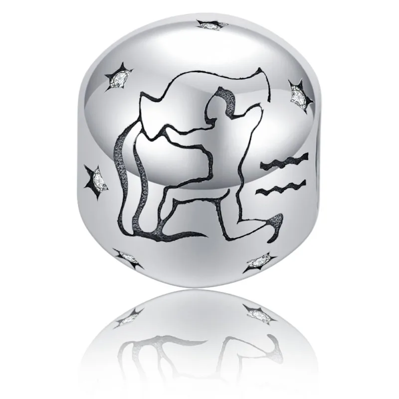 

SheType Water Sign Constellation Round Beads for Women Jewelry Making Aquarius Clear Star Charm 925 Solid Sterling Silver