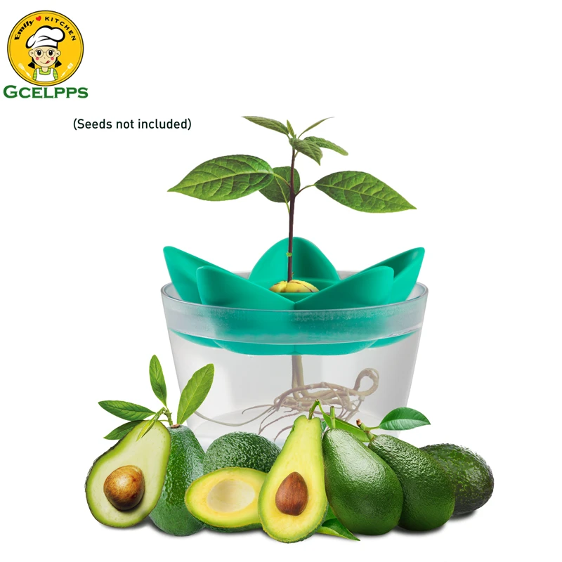 Avocado Seed Planting Growing Kit Avocado Planting Seed Starter Tray with Plant Holder Garden Gifts for Women Kids(Without Seeds plastic flower pots