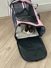 Dog-Carrier-Bag Travel-Bags Dog-Backpack Transport Soft-Side Airline-Approved Cats Small