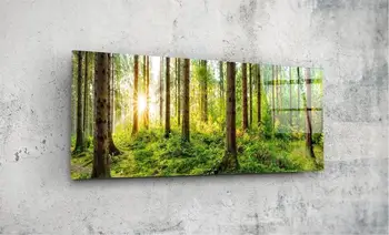 

Forest Woods Jungle 92x36cm Glass Table Glass Painting Printing Glass Table