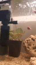 Minibomba para filtro de Acuario, dispositivo barato de 2W para filtración de esponja + flujo de agua + aumento de aire, bomba de filtro de bajo precio para pecera