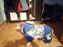 HOOPET Large Coat Down-Jacket Winter New Warm Autumn for Dogs Dog-Prints Overalls Leisure-Style