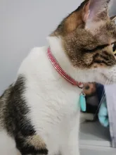 Collar de cristal para gatos, accesorios para mascotas, Collar de cuero con diamantes de imitación de liberación rápida con campana, Collar para gatitos