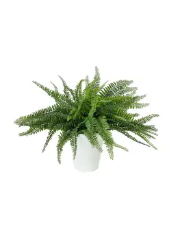 

EUROPALMS Fern bush in pot, artificial plant, 62 leaves, 48cm
