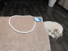 Collar con colgante de concha de amor para mujer, gargantilla de cadena de perlas Simple de 6MM de estilo Vintage, joyería de moda al por mayor