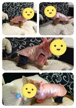 Dogs Vest Coat Pet-Clothing Puppy-Dog-Clothes Small Waterproof Winter Medium Warm Cute