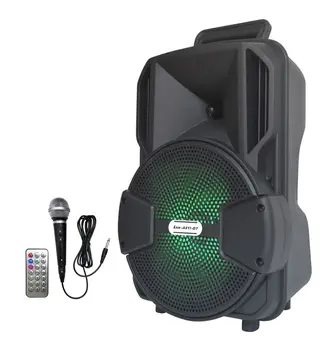 

Amplified Speaker 30W max with battery-bluetooth-Micro SD/USB-radio