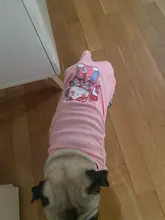 Ropa de perro para perros pequeños estampado bonito verano mascotas camiseta perro ropa chaleco para gatos mascota de algodón de T camisa Pug ropa trajes
