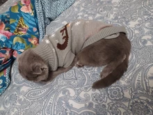 Pet Cat Reindeer Sweater Winter Warm Cat Clothes for Cats Kedi Outfit katten Clothing