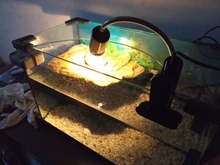 Conjunto de lámpara para reptiles UVA + UVB 3,0, con soporte de bombilla con Clip y termómetro, higrómetro, Tortuga, Kit de lámpara de calentamiento de base