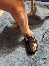 Puppy-Boots Pet-Shoes Lovely Dogs Snow Anti-Slip Zipper Winter Warm Denim Lets Casual