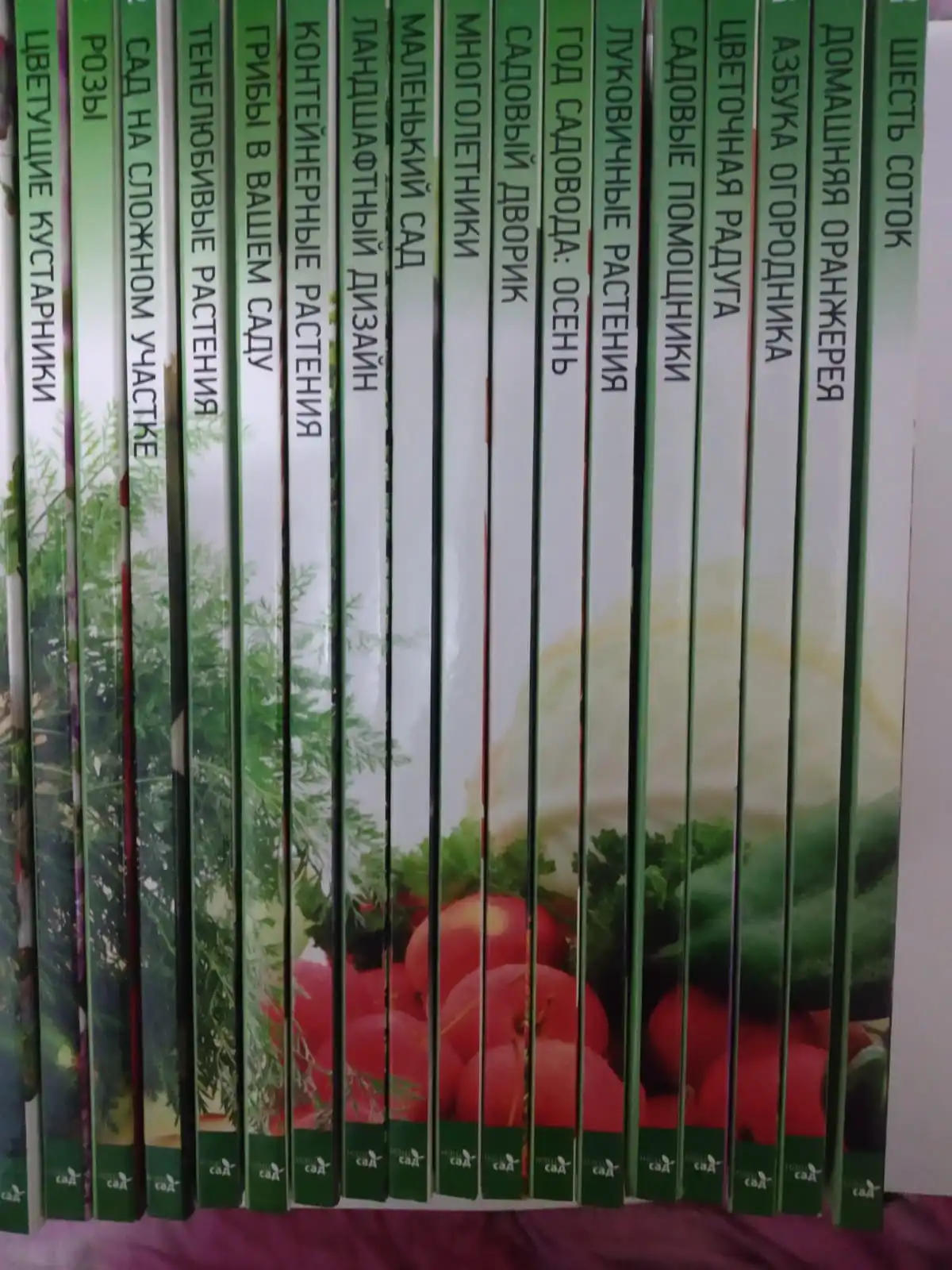 Рисунок 3 - Коллекция иллюстрированных справочников