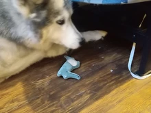 Traning-suministros de juguetes para perros, gatos de juguete graciosos, animales de peluche, Mint Teaser de gatito jugar interactivo, accesorios para mascotas