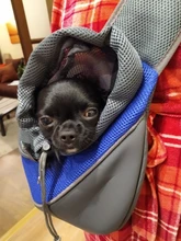 Bolsa de viaje para mascotas, bolsas de mensajero portátiles de malla transpirable para gatos y perros, accesorios para chihuahua