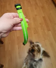 Collar LED de nailon para mascotas, fluorescente y luminoso, suministros para mascotas, correa de seguridad nocturna intermitente de seguridad que brilla en la oscuridad