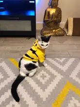 Pajamas Hoodie Cat-Costume Dog-Coat Puppy Cosplay SUPREPET Winter Cute Autumn Cartoon