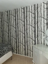 Wallpaper 3D Wood Birch-Tree Forest Living-Room Nordic-Style Black Roll Bedroom White