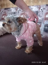 Overalls Fleece Dogs Winter for Star Corduroy Teddy XS M XL