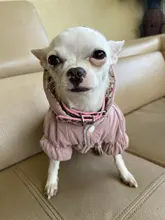 Hoodie Coat Outfit Warm-Dress Girl Dog Winter Princess New Floral 6-Sizes Bubble-Skirt