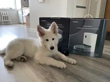 código promo(-25€): TECHMANIA25. ROIDMI EVE Plus-Robot aspirador con fregona de recolección de polvo inteligente, compatible con Mi Control de la aplicación en casa, asistente de Google, Alexa