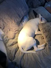 Desk-Lamp Book-Lights Clip-Holder Usb Led Reading Foldable Rechargeable Flexible Usb-Power-Supply