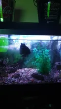 Luz RGB para acuario, lámpara de buceo con control remoto de 18-57cm, colorida, 90-260v, para plantas, pecera, uso con anfibios esenciales