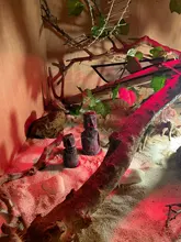 Aquarium-Decoration Statue Terrarium Island-Stone Resin Ornament Easter Fish-Tank Home-Decor