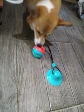 Pet Dog Toys Silicon Suction Cup Tug dog toy Dogs Push Ball Toy Pet Tooth Cleaning Dog
