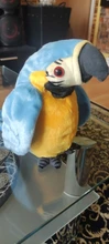 Peluche de loro parlante eléctrico para niños, juguete de peluche de pájaro parlante con alas que se repiten, regalo para niños