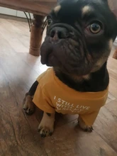 Letras de moda impreso Bulldog francés Camisa de algodón elástico ropa de perro mascota para Yorkshire Chihuahua verano bombero esposa camiseta bombero novia fuego emblema bombero Don bombero Cruz de traje
