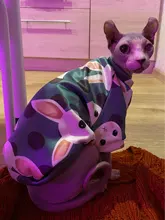 Cartoon Cat Hoodie Sweater Autumn Winter Pet Cat Clothes for Cats Katten Kedi Pullovers