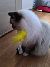 Pet Cat Toys for Cats Kitten Puzzle Interactive Tumbler Swing Self Balance Chasing Toy