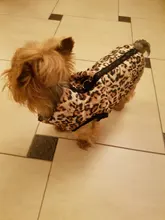 Ropa cálida para perros pequeños, abrigo para perros a prueba de viento, chaqueta acolchada, atuendo con chaleco, ropa para Chihuahua y Yorkshire 35