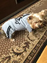 Costume Pet-Jumpsuit Puppy-Outfit Dogs French Bulldog Chihuahua Medium Pug-Pets Small