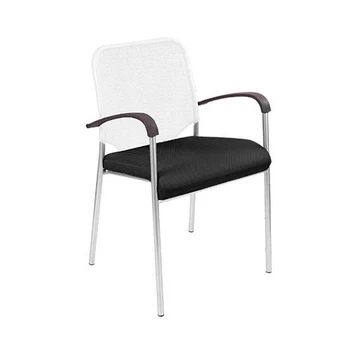 

Chair Amigo Silver Arm