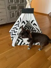 Cat Bed House Teepee Cushion Pet-Tent Puppy Available Outdoor Portable For Dog with Thick