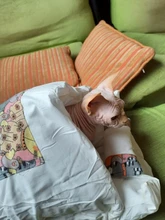 Cama de gato japonés para invierno, saco de dormir de gato cálido y extraíble, cama de perro, casa, nido de gatos, cojín con almohada