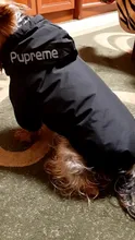 Reflective Clothing Coat Jacket Puppy Dog-Face-Hoodie Dogs Small Waterproof Winter Medium