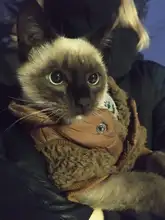 Coats Pet-Clothing Dogs-Costume Dog-Jacket Pets Fleece Winter Medium Small for Ropa Perro