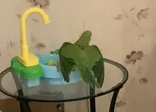 Pool Fountains Bath-Tub Birds Toy Sink Pet-Parrots Play Kitchen House Multipur with Faucet